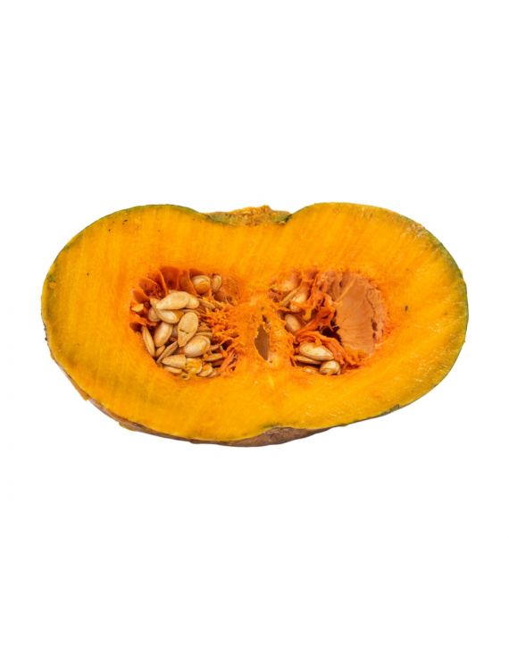 Ayote