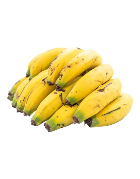 banano criollo