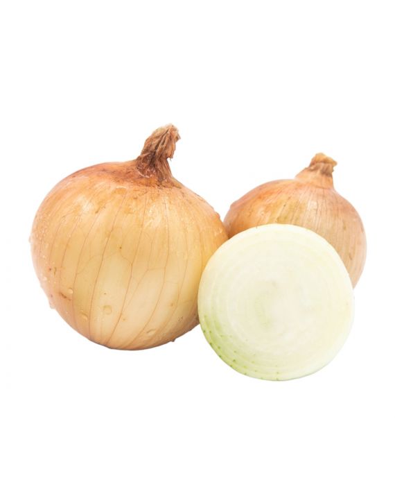 Cebolla Seca