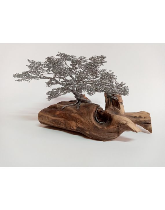 Arbol-II 