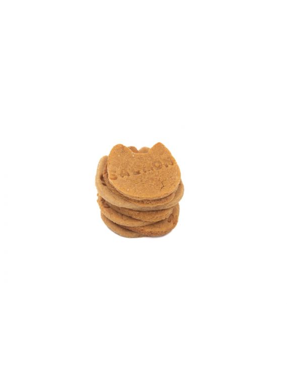 Galletas de salmón y atún