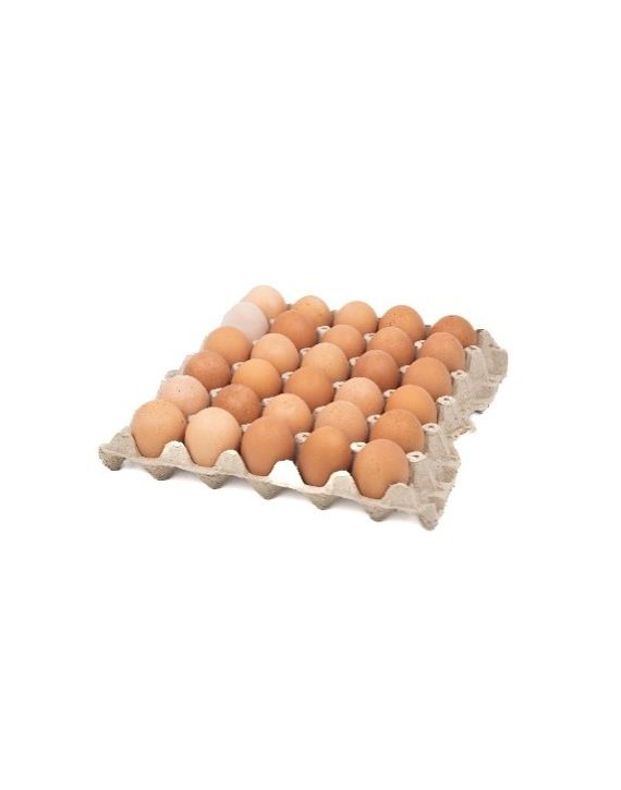 Huevos de gallina casera