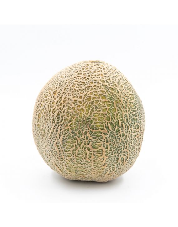 Melón
