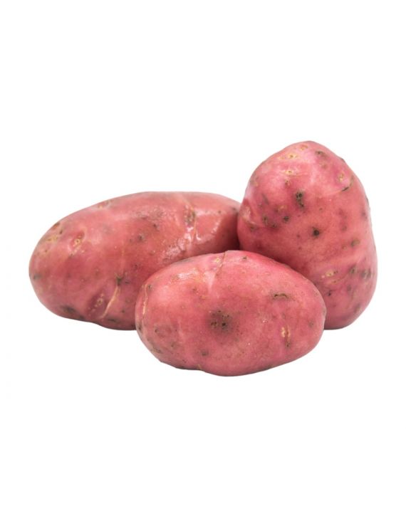 Papa morada
