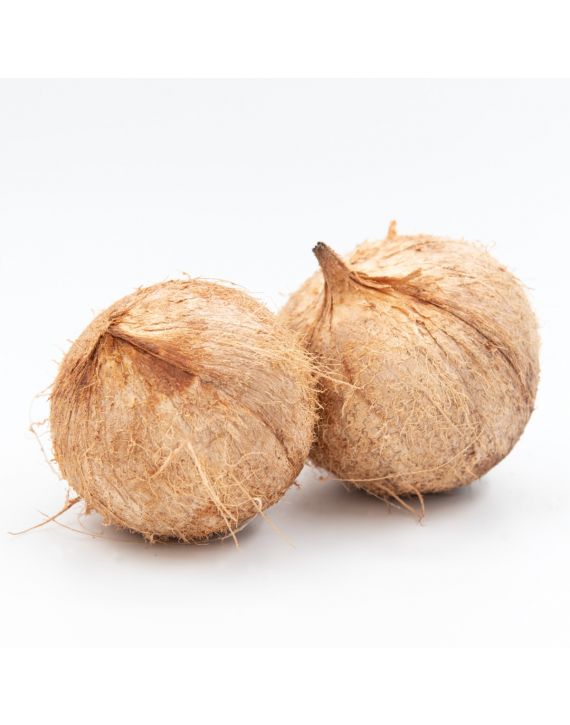 Pipa