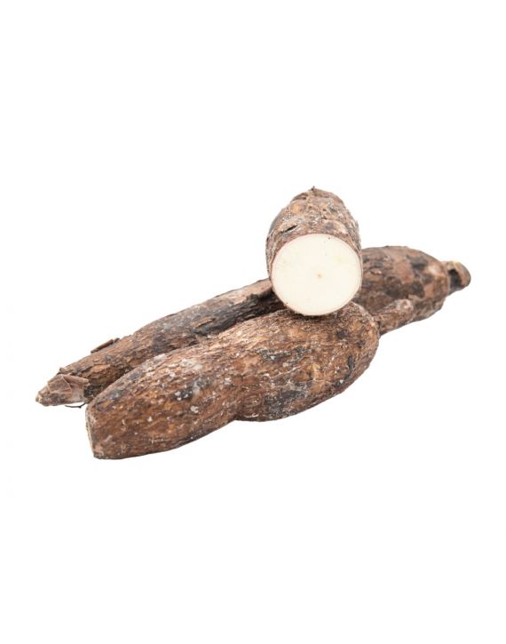 Yuca