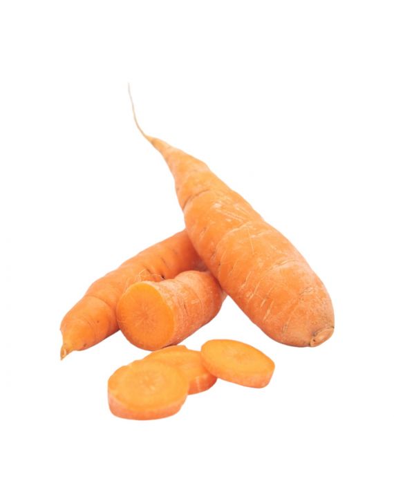 Zanahoria