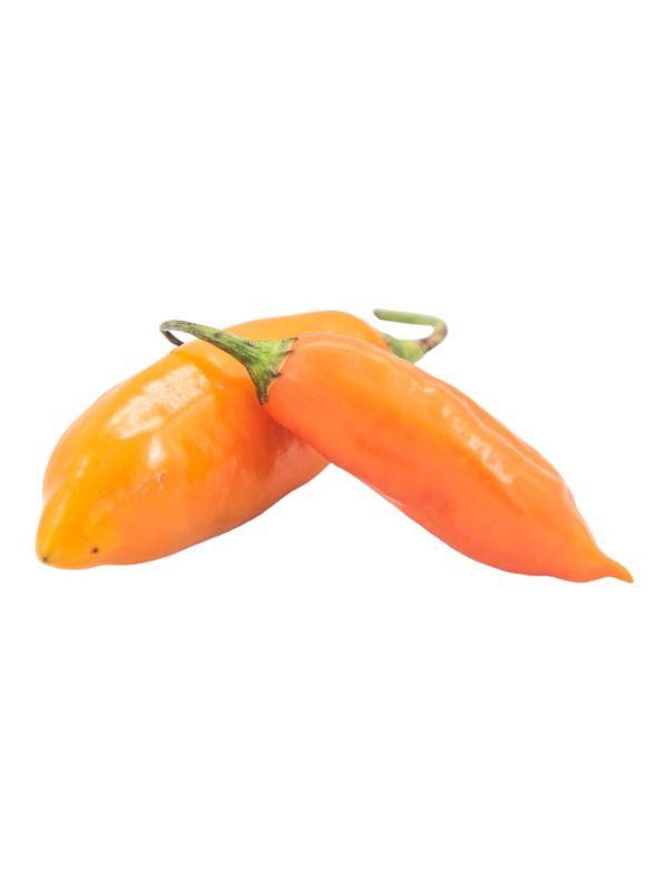 Chile ají peruano