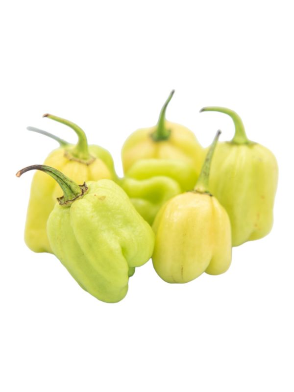 Chile panameño