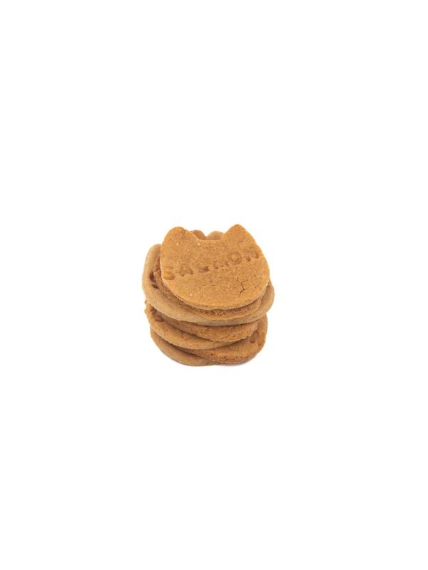 Galletas de salmón y atún