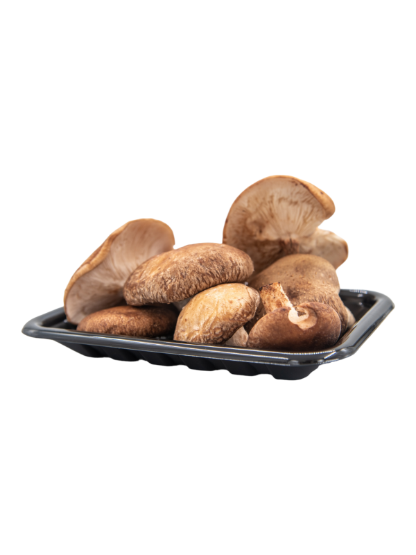 Hongo shiitake