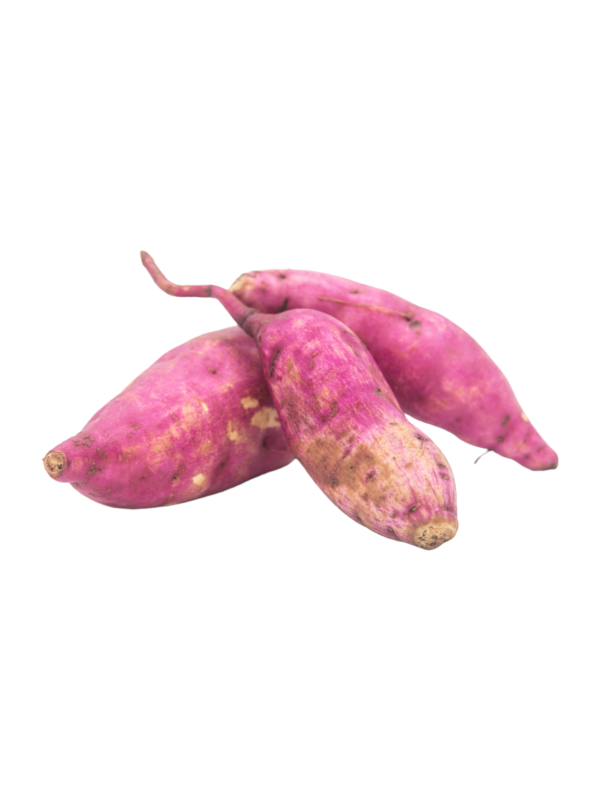 Camote