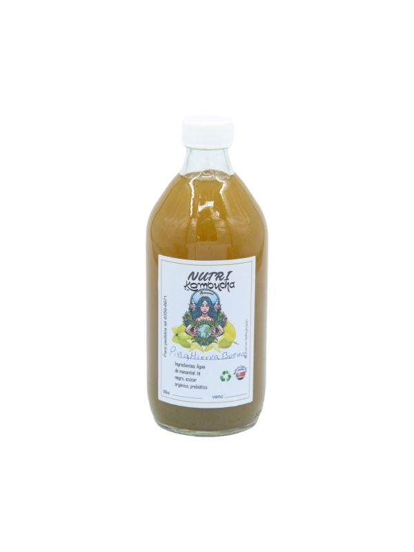 Nutri kombucha con sabor frutal