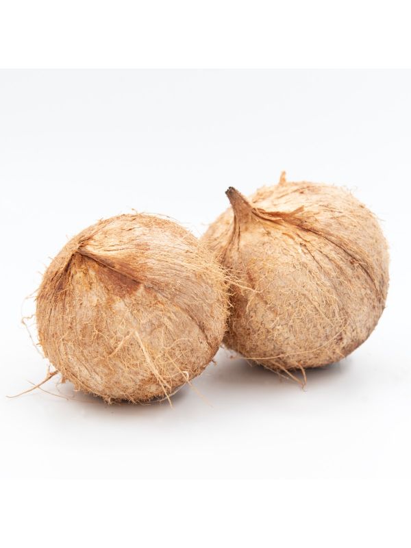 Pipa